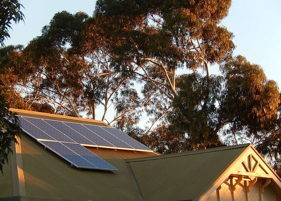 Roof with solar panels and partial shade from a nearby tree.